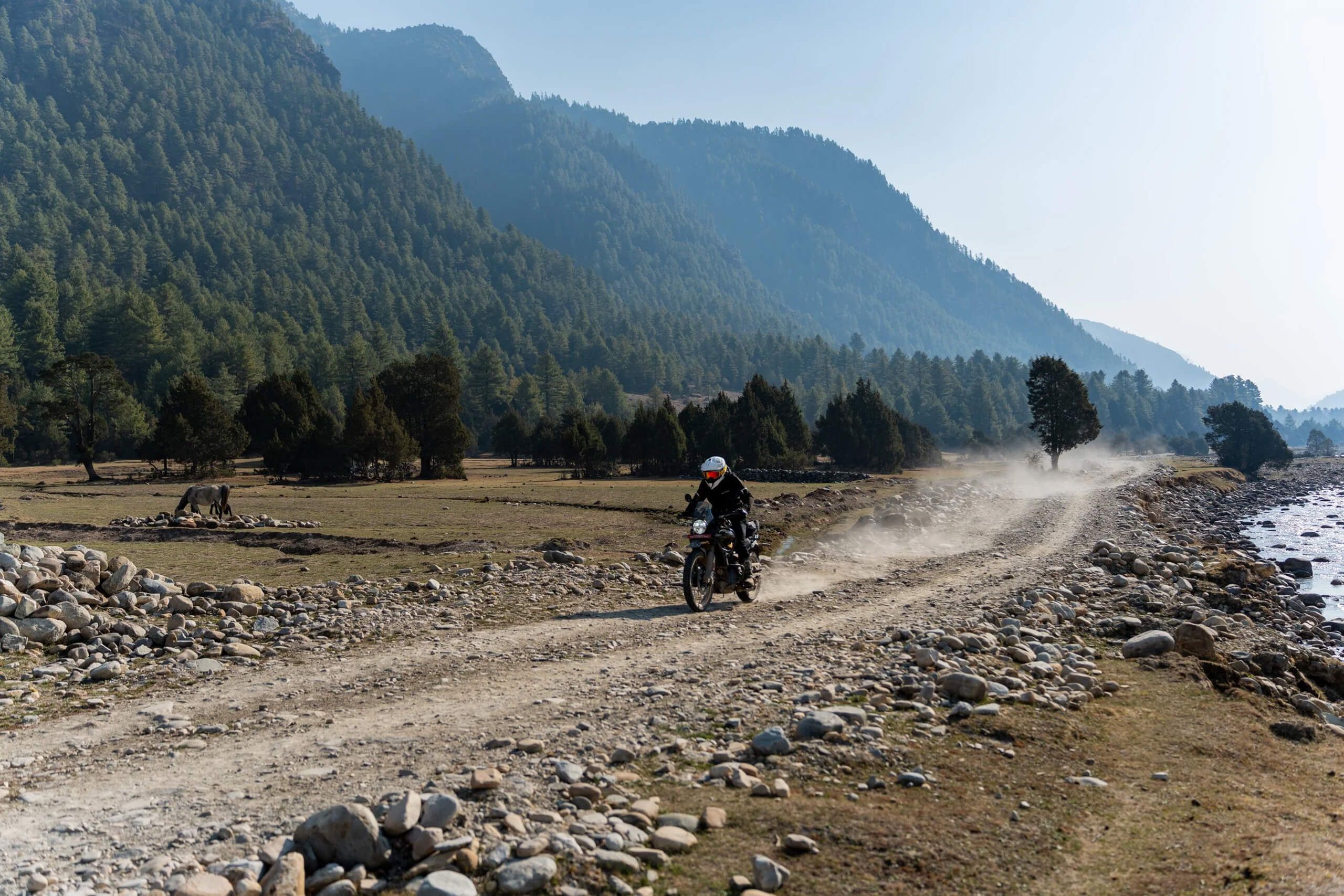 bhutan thunder dragon hero d7717061